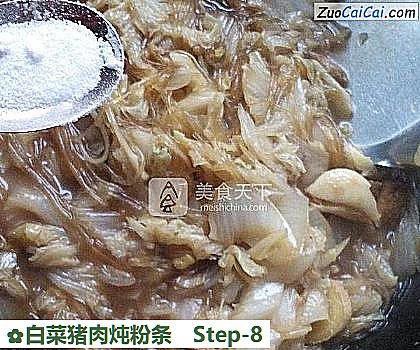 白菜猪肉炖粉条做法第八步骤