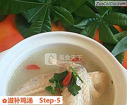 滋补鸡汤做法第五步骤