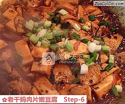 老干妈肉片嫩豆腐做法第六步骤
