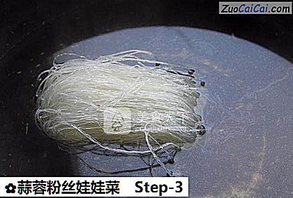 蒜蓉粉丝娃娃菜做法第三步骤