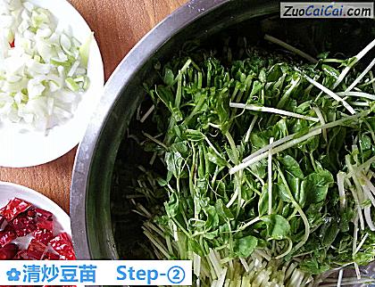 清炒豆苗做法第二步骤