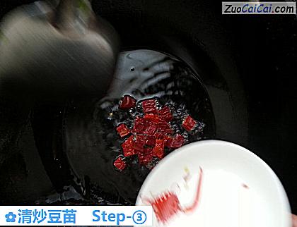 清炒豆苗做法第三步骤