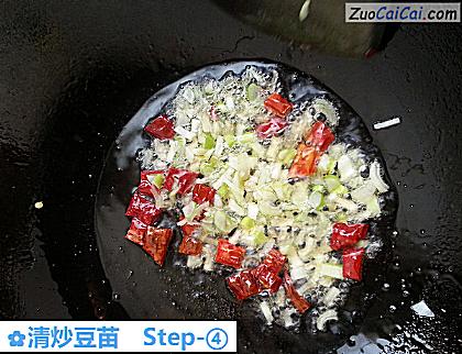 清炒豆苗做法第四步骤