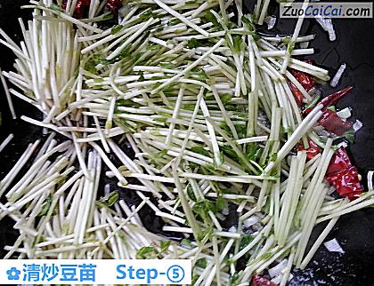 清炒豆苗做法第五步骤