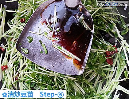 清炒豆苗做法第六步骤