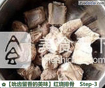 红烧排骨做法第三步骤