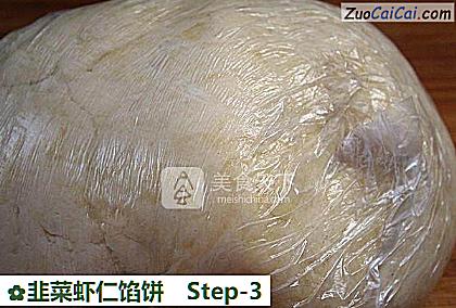 韭菜虾仁馅饼做法第三步骤