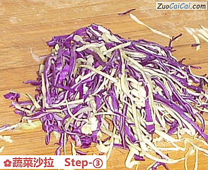 蔬菜沙拉做法第三步骤