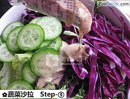 蔬菜沙拉做法第五步骤