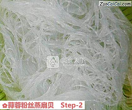 蒜蓉粉丝蒸扇贝做法第二步骤