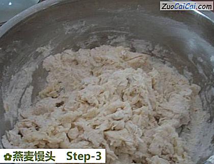 燕麦馒头做法第三步骤
