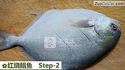 红烧鲳鱼做法第二步骤