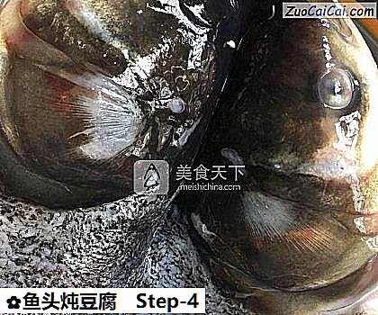 鱼头炖豆腐做法第四步骤