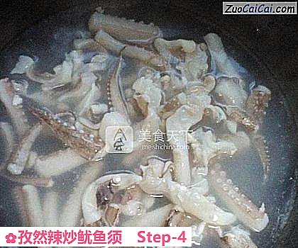 孜然辣炒鱿鱼须做法第四步骤