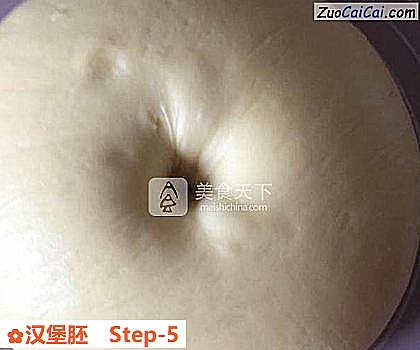 汉堡胚做法第五步骤