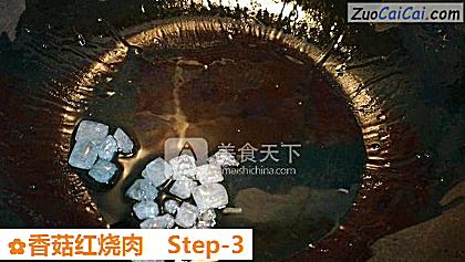 香菇红烧肉做法第三步骤