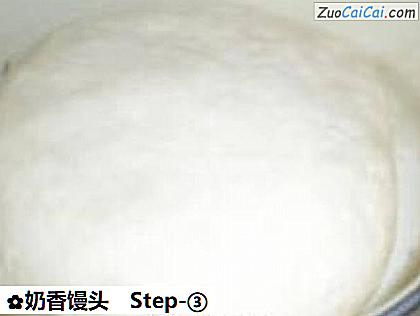 奶香馒头做法第三步骤