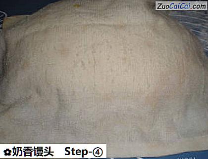 奶香馒头做法第四步骤