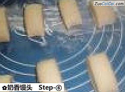 奶香馒头做法第六步骤