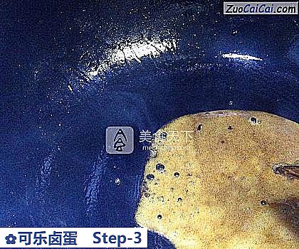 可乐卤蛋做法第三步骤