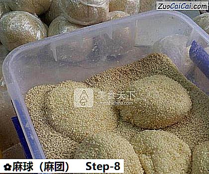 麻球做法第八步骤