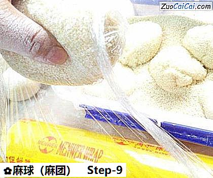 麻球做法第九步骤