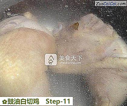 豉油白切鸡做法第十一步骤