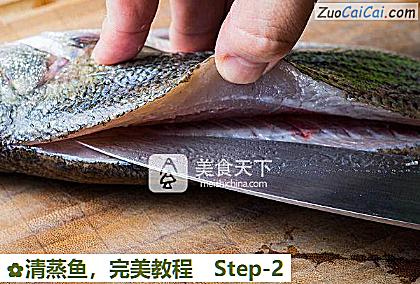 清蒸鱼做法第二步骤