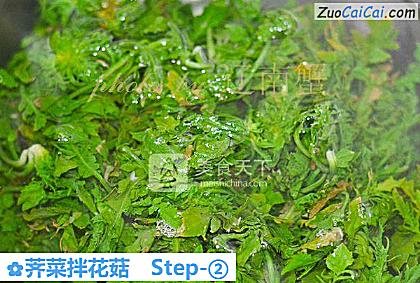 荠菜拌花菇做法第二步骤