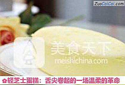 轻芝士蛋糕：舌尖卷起的一场温柔的革命做法第十六步骤