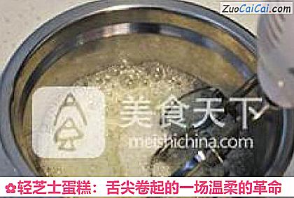 轻芝士蛋糕：舌尖卷起的一场温柔的革命做法第八步骤