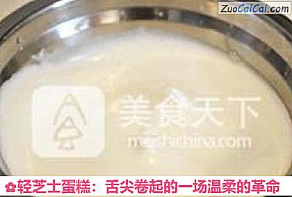 轻芝士蛋糕：舌尖卷起的一场温柔的革命做法第九步骤