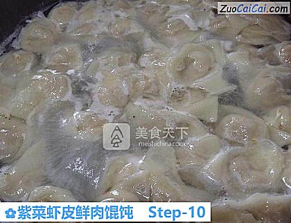 紫菜虾皮鲜肉馄饨做法第十步骤