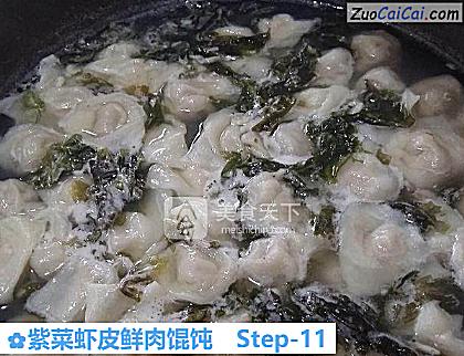 紫菜虾皮鲜肉馄饨做法第十一步骤