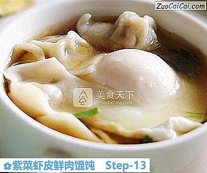 紫菜虾皮鲜肉馄饨做法第十三步骤