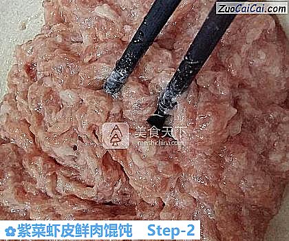 紫菜虾皮鲜肉馄饨做法第二步骤