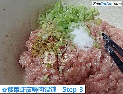 紫菜虾皮鲜肉馄饨做法第三步骤