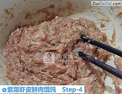 紫菜虾皮鲜肉馄饨做法第四步骤