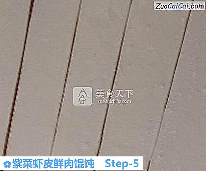 紫菜虾皮鲜肉馄饨做法第五步骤