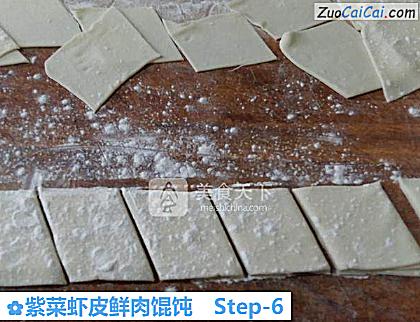 紫菜虾皮鲜肉馄饨做法第六步骤