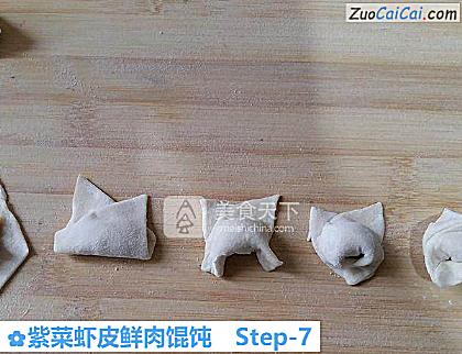 紫菜虾皮鲜肉馄饨做法第七步骤