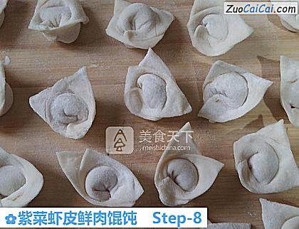 紫菜虾皮鲜肉馄饨做法第八步骤