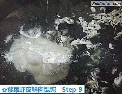 紫菜虾皮鲜肉馄饨做法第九步骤