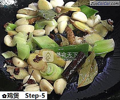 鸡煲做法第五步骤