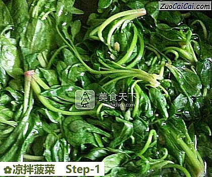 凉拌菠菜做法第一步骤