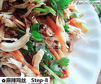 麻辣鸡丝成品图2