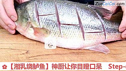 湘乳烧鲈鱼做法第二步骤