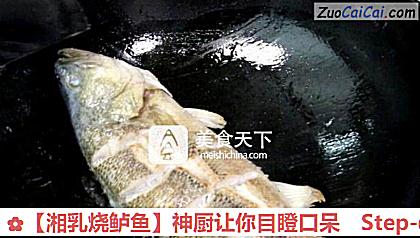 湘乳烧鲈鱼做法第四步骤