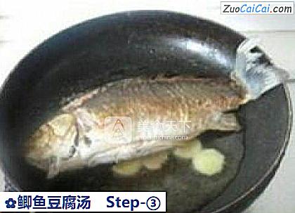 鲫鱼豆腐汤做法第三步骤