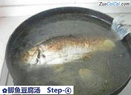 鲫鱼豆腐汤做法第四步骤